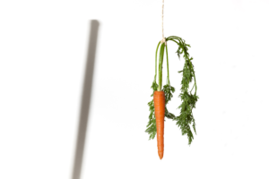Image of a carrot with a shadow and a stick demonstrating the inefficiency of reward or punishment due to ADHD and dopamine imbalance.